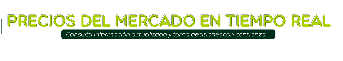 Precios del mercado en tiempo real - Consulta información actualizada y toma decisiones con confianza